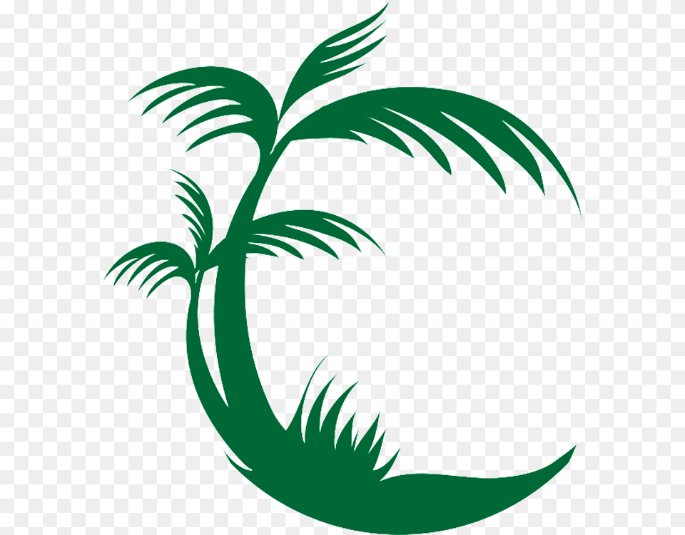 Palm Tree Logo, Art, Graphics, Green, Plant Free Png