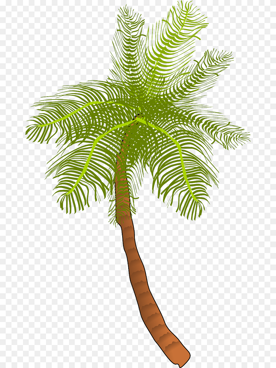 Palm Tree Ocean Coconut Tree Clip Art, Palm Tree, Plant, Leaf Png