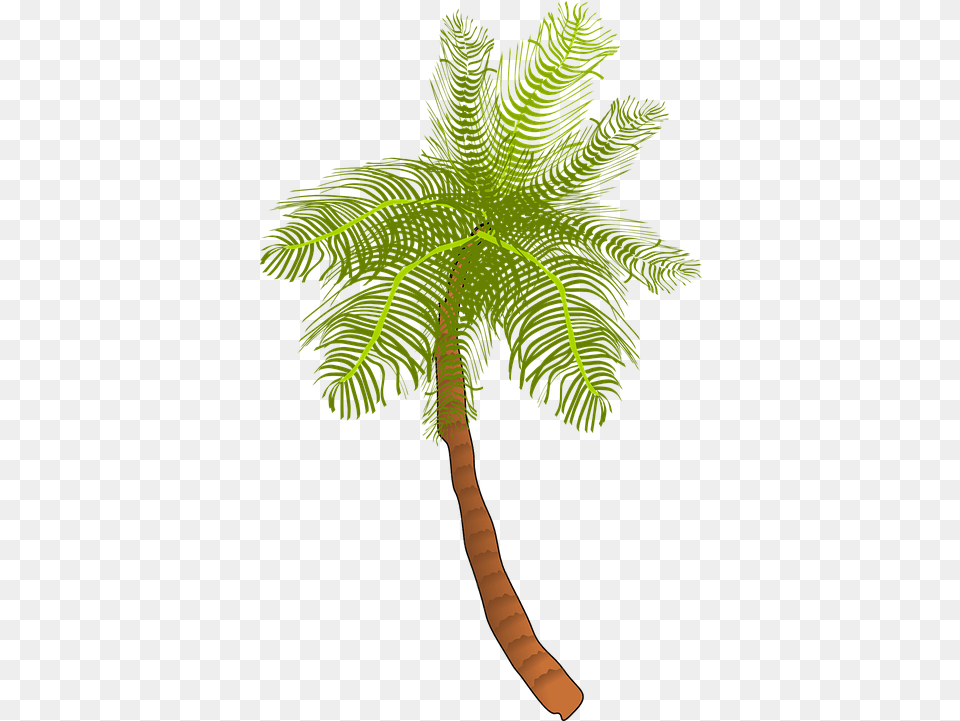 Palm Tree Ocean Vector Graphic On Pixabay Coconut Tree Clip Art, Palm Tree, Leaf, Plant, Rainforest Free Png Download