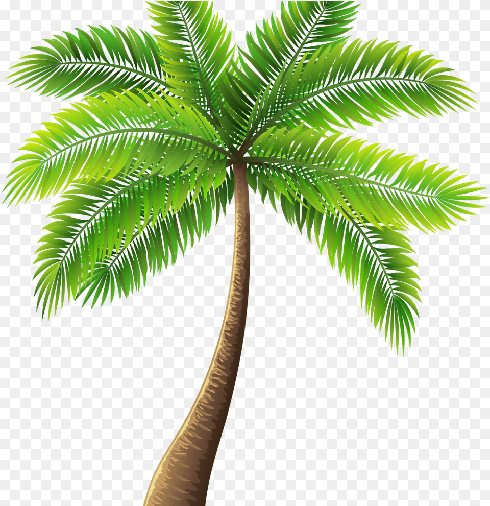 Palm Tree Painting Elegant Palm Tree Art Tropical Palm Palm Tree Transparent Background, Leaf, Palm Tree, Plant Png Image