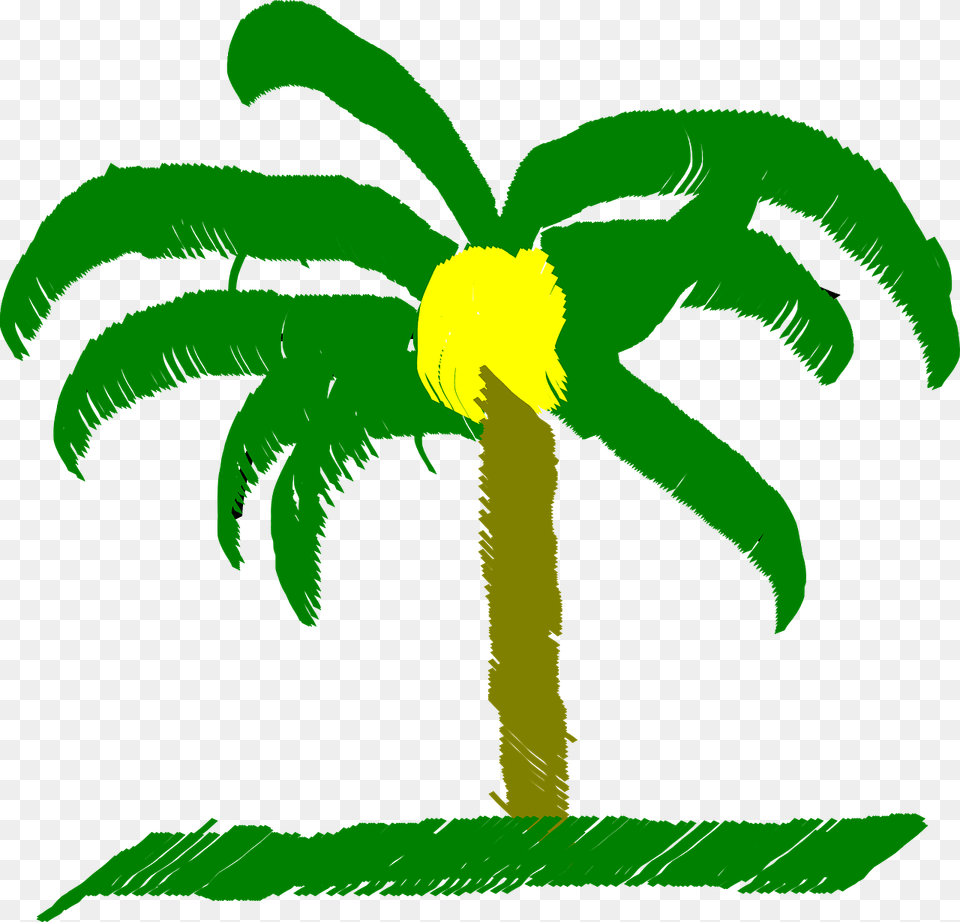 Palm Tree Palm Tree Beach Caribbean, Green, Palm Tree, Plant, Person Png Image