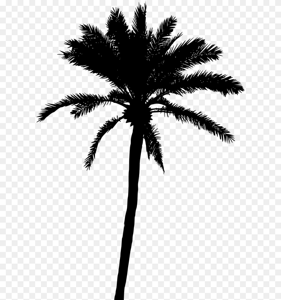 Palm Tree Palm Tree Silhouette, Gray Free Transparent Png