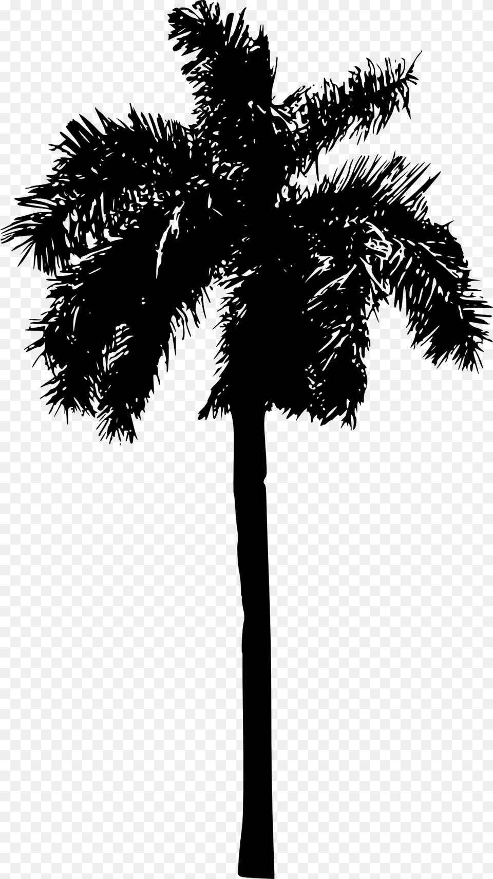 Palm Tree Palm Tree Silhouette Transparent, Palm Tree, Plant, Cross, Symbol Free Png Download