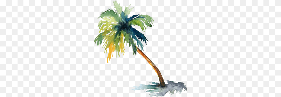 Palm Tree Palm Trees In Watercolor Paintings, Palm Tree, Plant Free Transparent Png