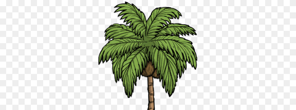 Palm Tree Palmtree, Palm Tree, Plant, Vegetation, Leaf Png Image