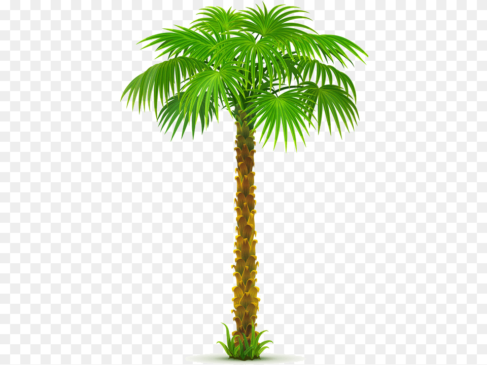 Palm Tree Paper Palm Tree Palm Tree Gif, Palm Tree, Plant, Leaf Free Png
