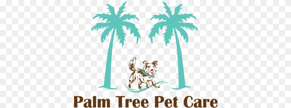 Palm Tree Pet Care Logo, Palm Tree, Plant, Vegetation, Animal Free Png