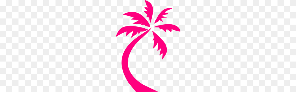 Palm Tree Pink Clip Art, Leaf, Plant, Floral Design, Graphics Free Png Download