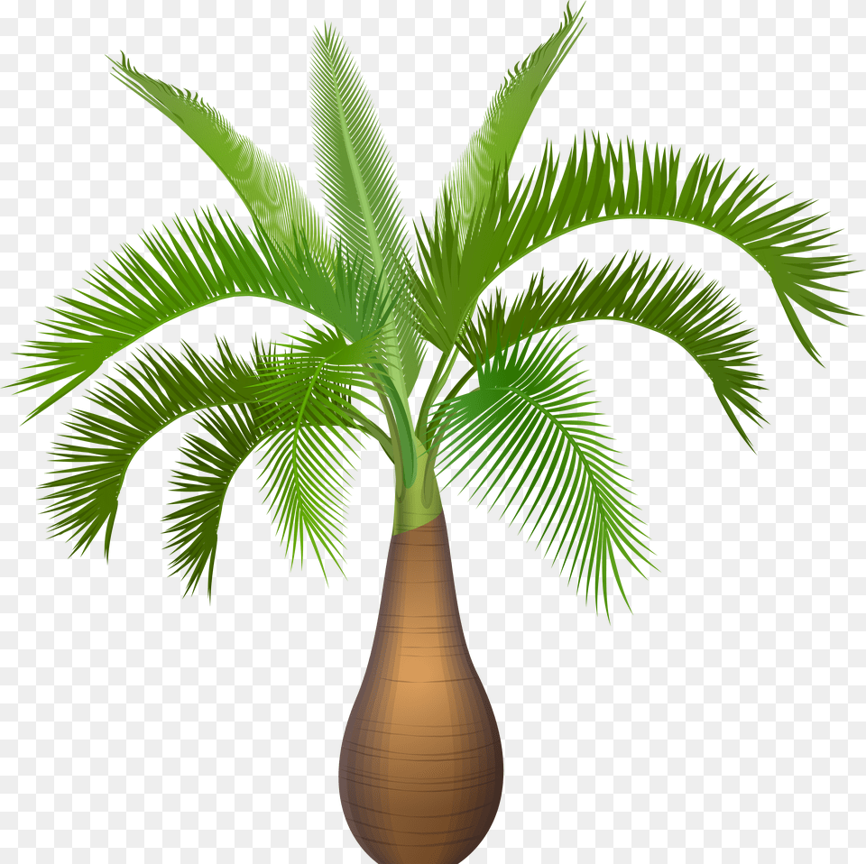 Palm Tree Plant Clip Art Image Palm Tree Plant Clipart Free Png Download