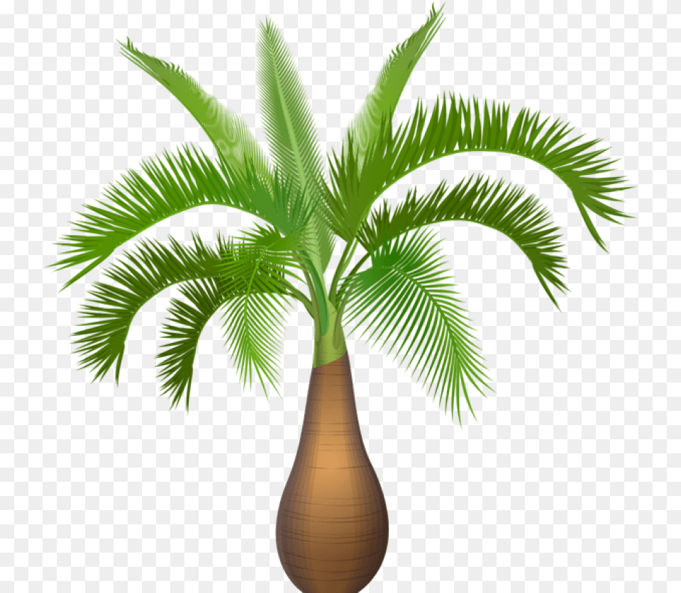 Palm Tree Plant Clip Art Image Palm Trees Palm Tree Plant Clipart, Palm Tree, Leaf Free Transparent Png