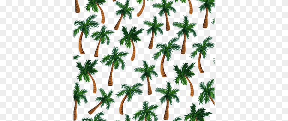 Palm Tree Print Fabric By Shelbyallison On Spoonflower Palm Tree Pattern Fabric, Palm Tree, Plant, Vegetation, Leaf Free Png Download