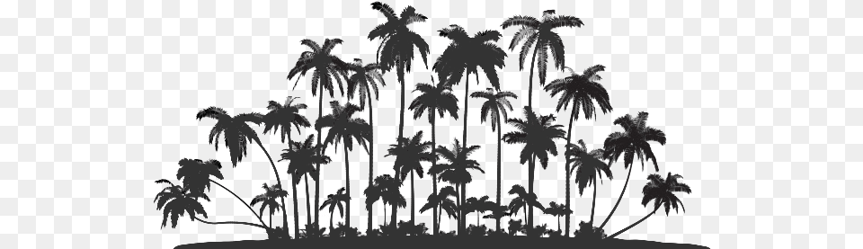 Palm Tree Service Oahu Row Of Palm Trees Silhouette, Weather, Plant, Outdoors, Nature Png Image