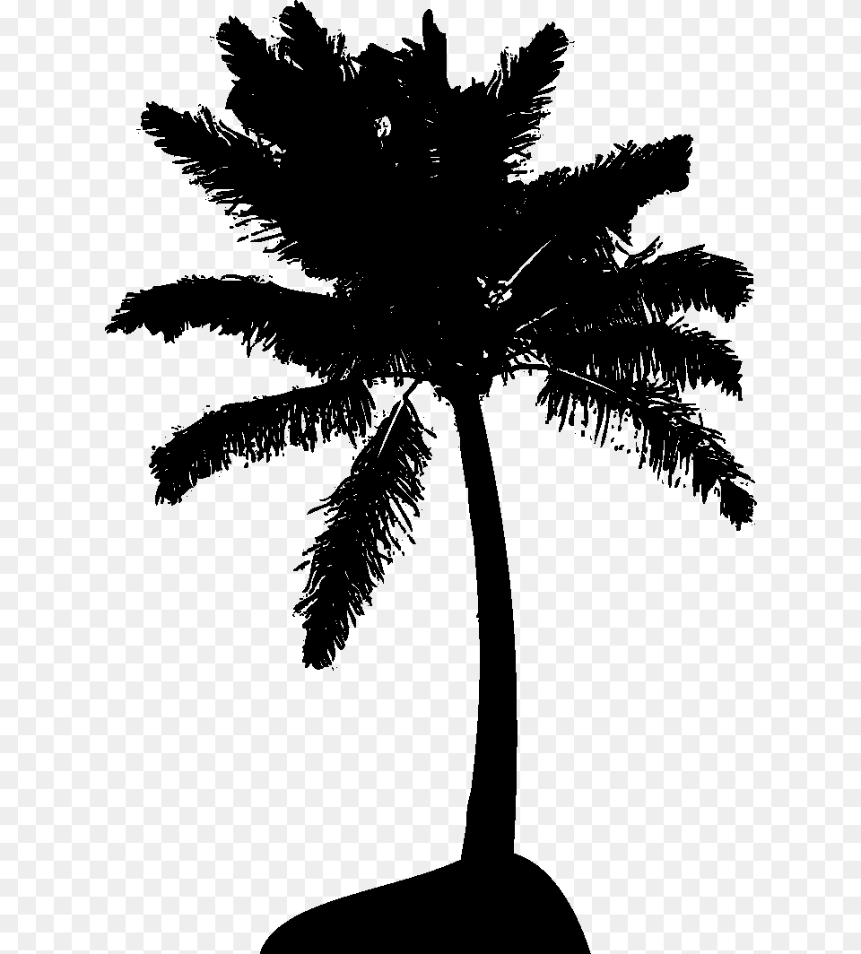 Palm Tree Set, Palm Tree, Plant, Person Png Image