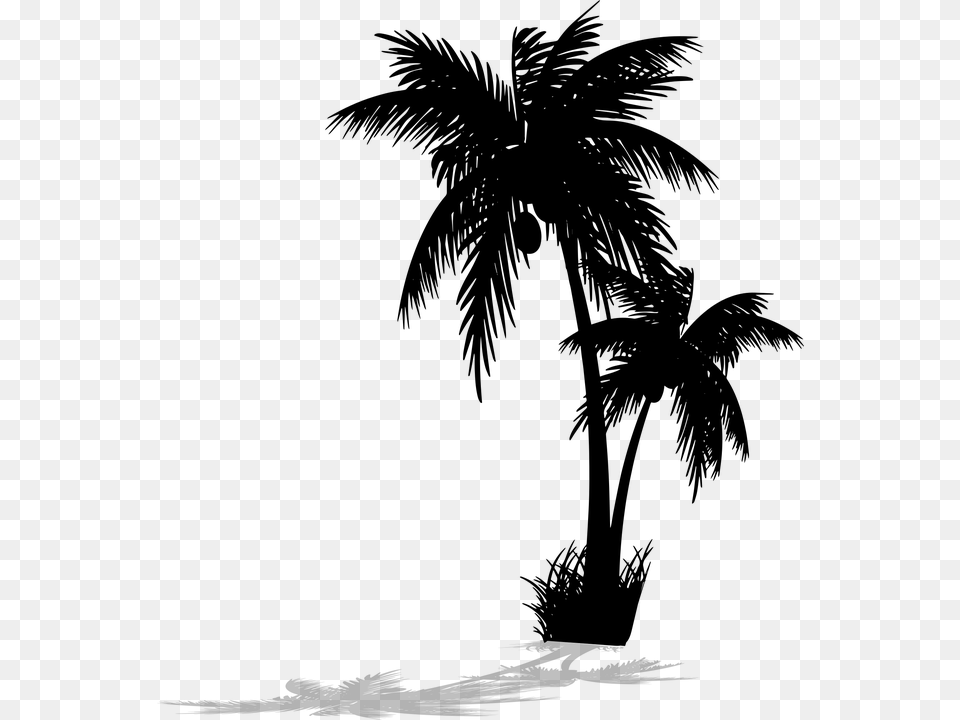 Palm Tree Silhouette, Gray Png