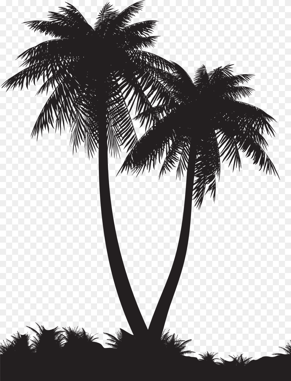 Palm Tree Silhouette, Palm Tree, Plant, Outdoors Png