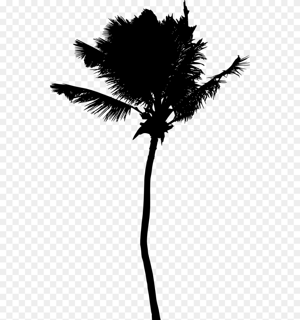 Palm Tree Silhouette, Palm Tree, Plant, Cross, Symbol Free Transparent Png