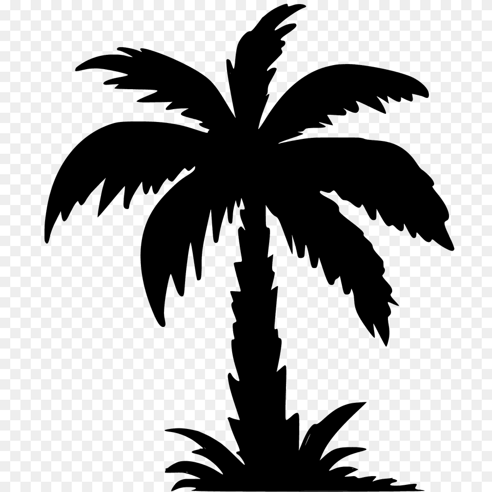 Palm Tree Silhouette, Palm Tree, Plant, Animal, Bird Free Transparent Png
