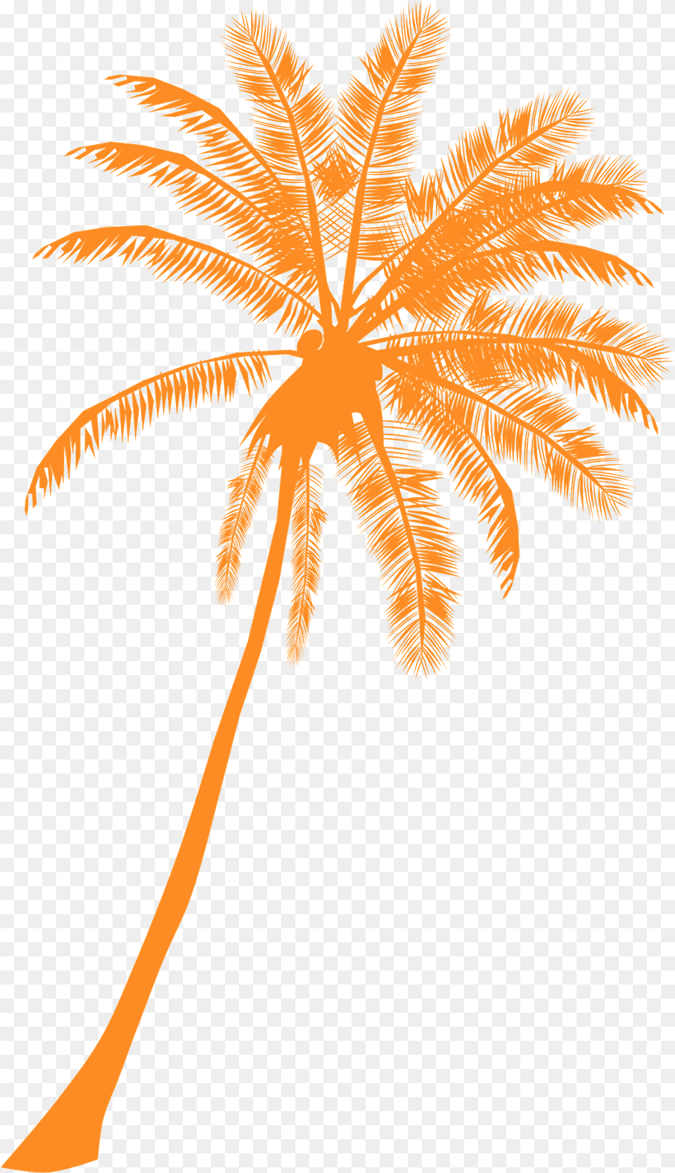 Palm Tree Silhouette, Palm Tree, Plant, Outdoors Png