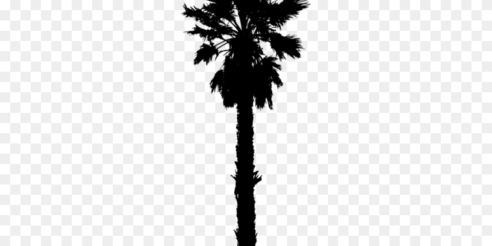 Palm Tree Silhouette, Gray Free Transparent Png