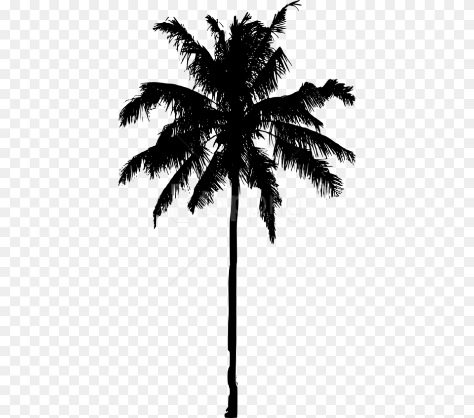 Palm Tree Silhouette, Palm Tree, Plant, Person Free Png Download