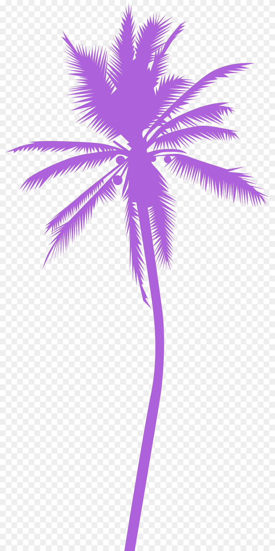 Palm Tree Silhouette, Palm Tree, Plant, Cross, Symbol Free Png Download
