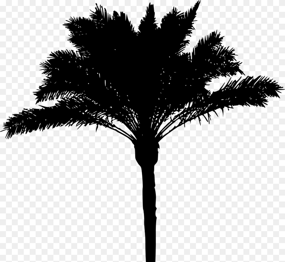 Palm Tree Silhouette, Gray Free Png Download