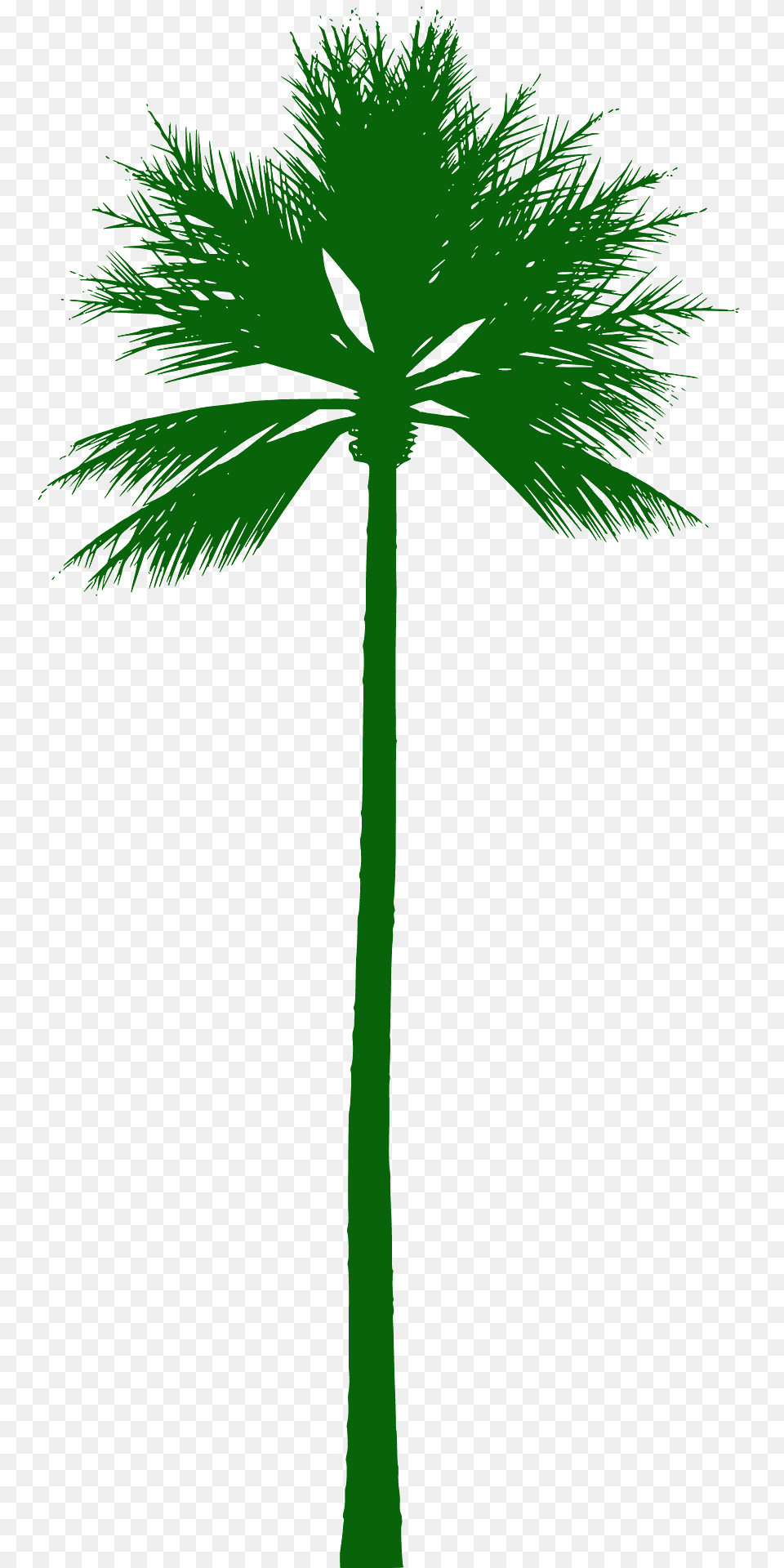 Palm Tree Silhouette, Palm Tree, Plant, Cross, Symbol Png Image