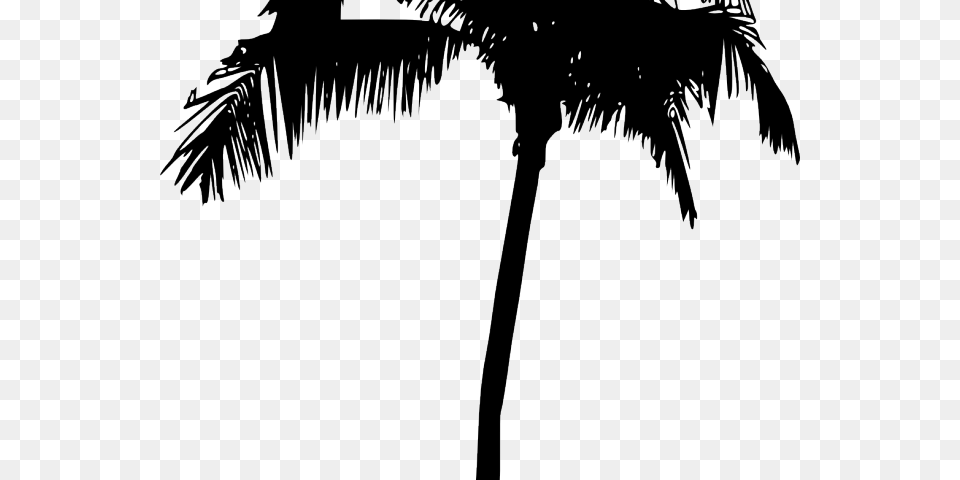Palm Tree Silhouette Download, Palm Tree, Plant Free Png