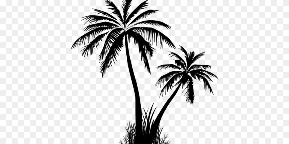 Palm Tree Silhouette Free Download Clip Art, Gray Png Image