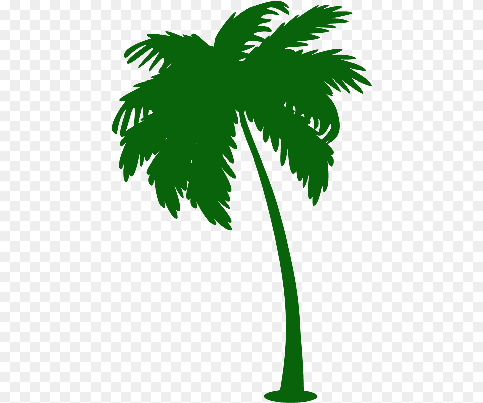 Palm Tree Silhouette Free Vector Silhouettes Creazilla Palm Tree Silhouette Green, Palm Tree, Plant, Vegetation, Person Png Image