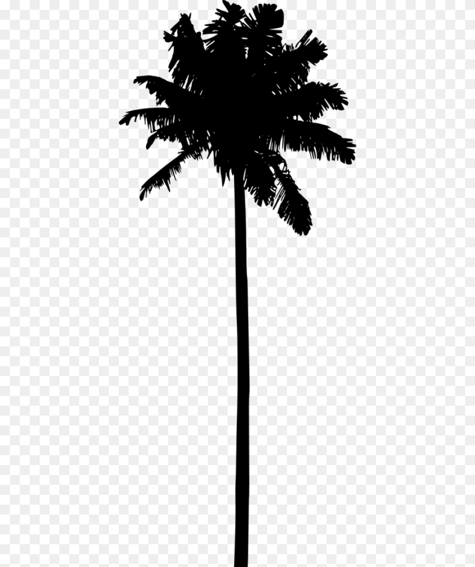 Palm Tree Silhouette Hd Palm Tree Silhouette, Palm Tree, Plant, Cross, Symbol Png
