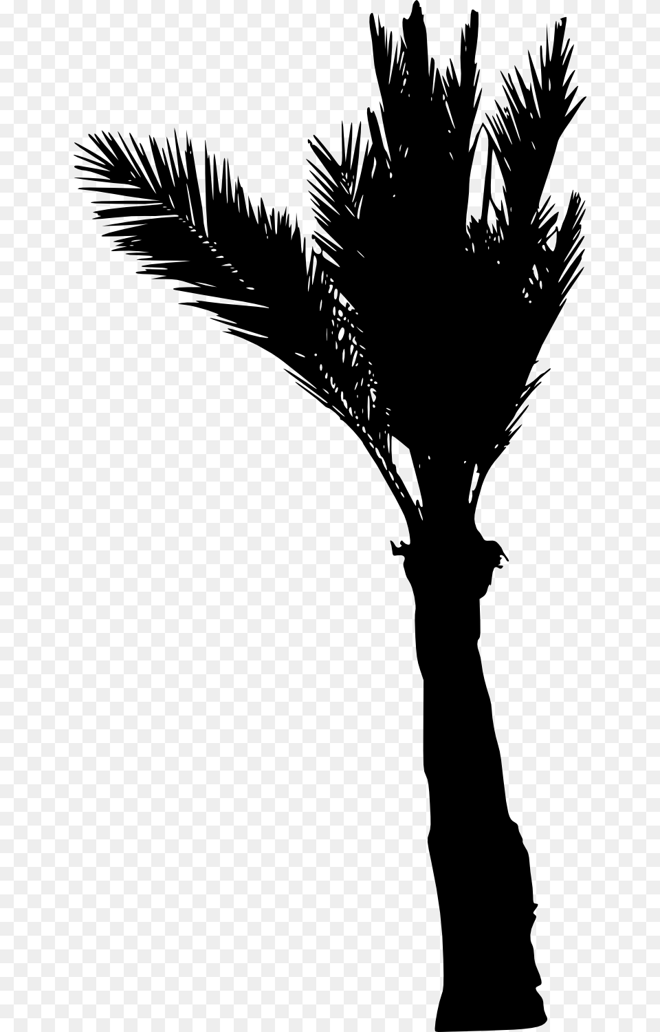 Palm Tree Silhouette Images Transparent Portable Network Graphics, Palm Tree, Plant, Person Free Png Download