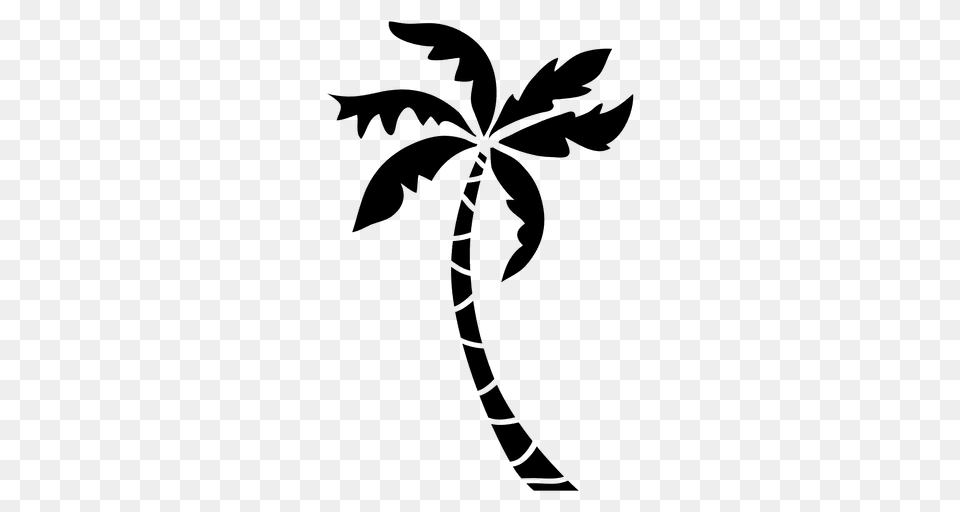 Palm Tree Silhouette Palm, Plant, Green, Leaf, Palm Tree Free Transparent Png