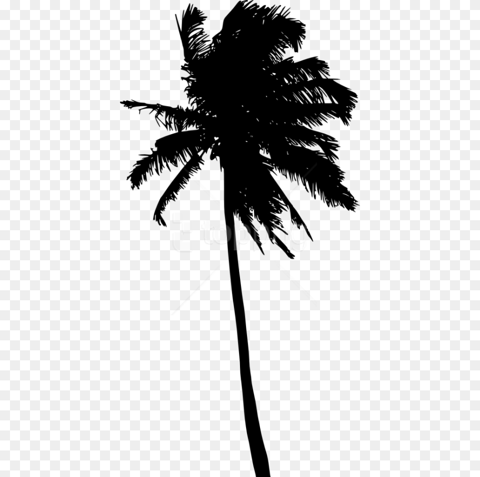 Palm Tree Silhouette Palm Tree Black Transparent Background, Palm Tree, Plant, Person Free Png