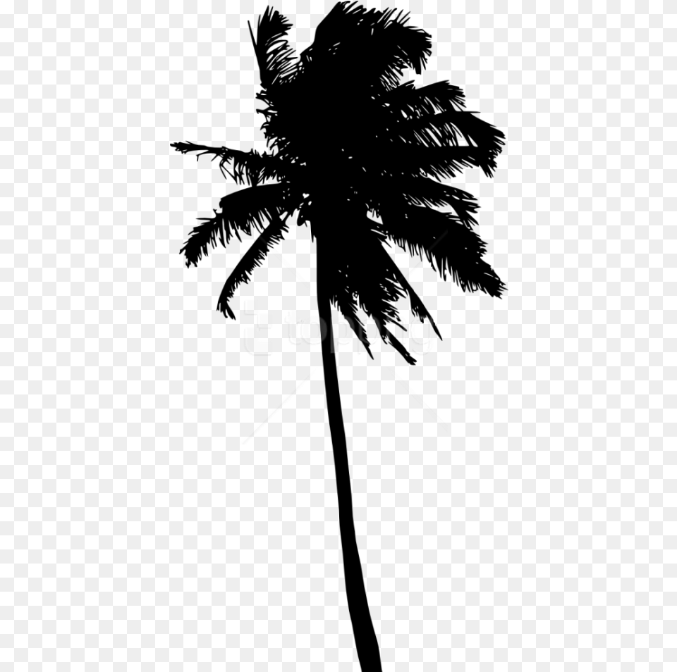 Palm Tree Silhouette Palm Tree Silhouette Palm Tree Clip Art, Logo Free Transparent Png