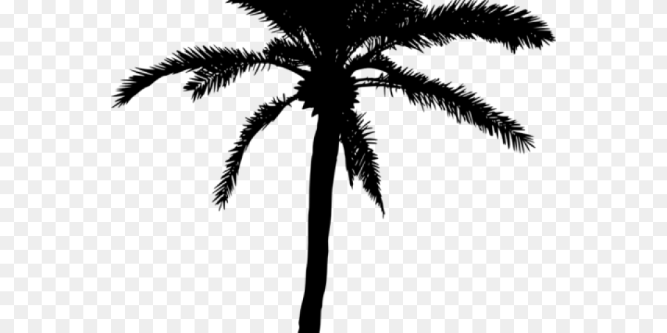 Palm Tree Silhouette Palm Tree Vector, Gray Free Png