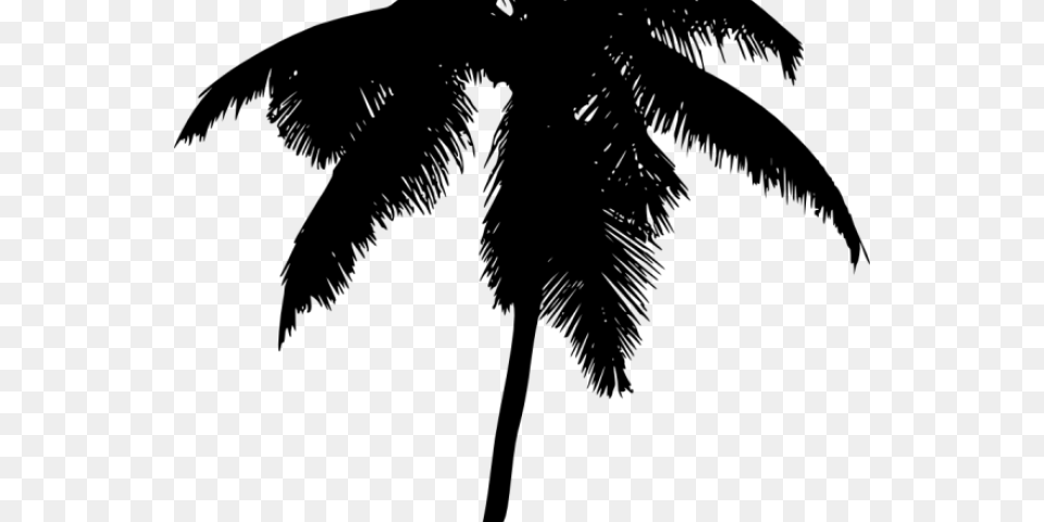 Palm Tree Silhouette Palm Trees, Gray Free Png