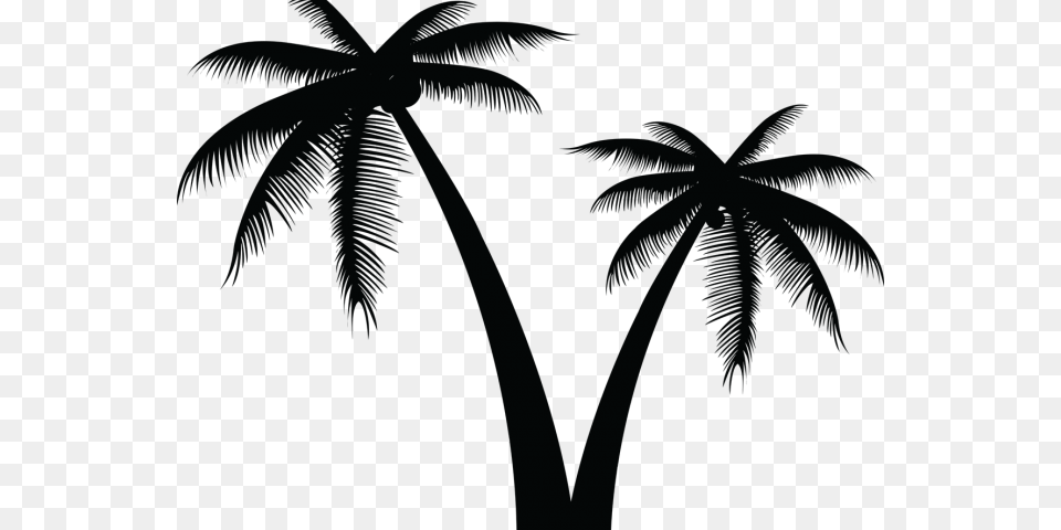 Palm Tree Silhouette Silhouette Palm Tree Background, Nature, Outdoors, Palm Tree, Plant Png Image