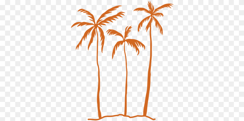 Palm Tree Silhouette Transparent U0026 Svg Palmeras Del Mar, Palm Tree, Plant Png