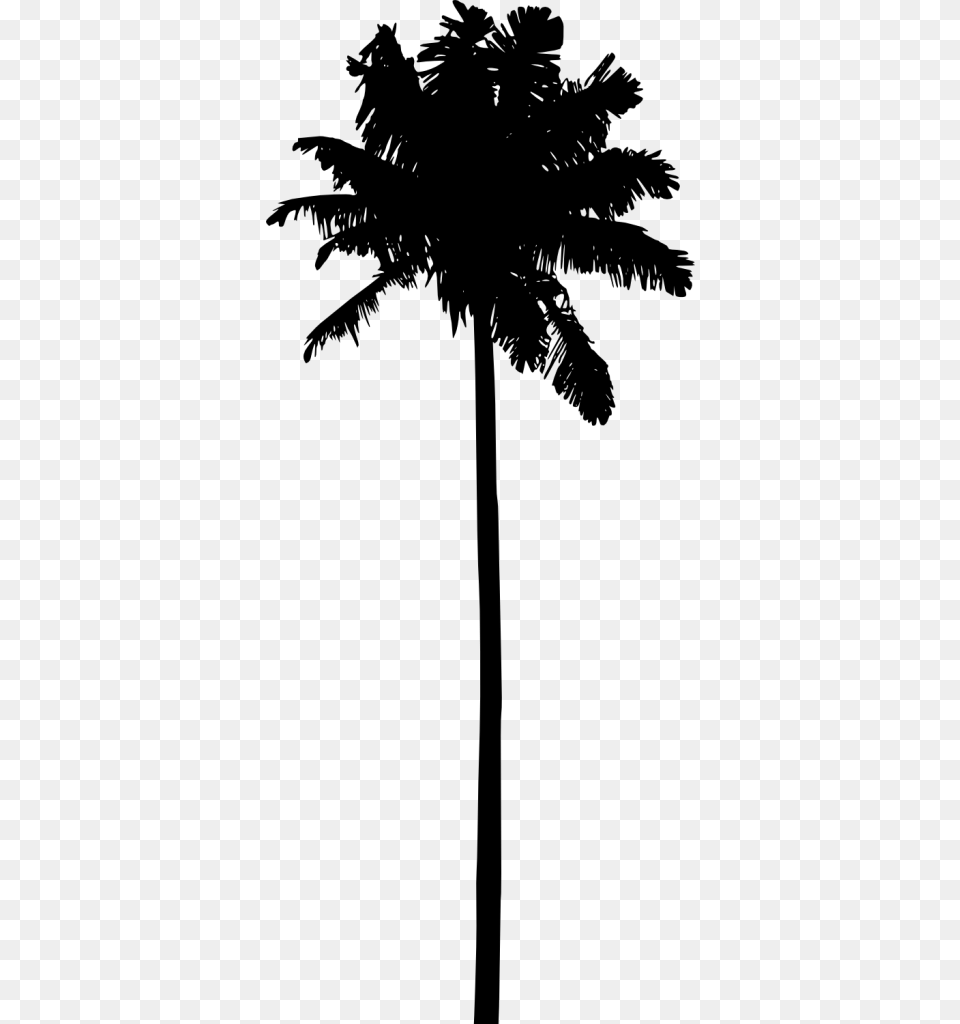 Palm Tree Silhouette Vol Silhouette Palm Tree Vector, Gray Png