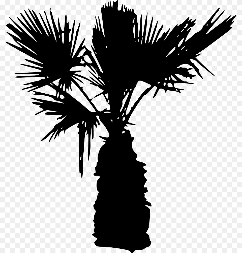 Palm Tree Silhouettes Background Palm Tree Silhouette, Palm Tree, Plant, Person Free Png Download