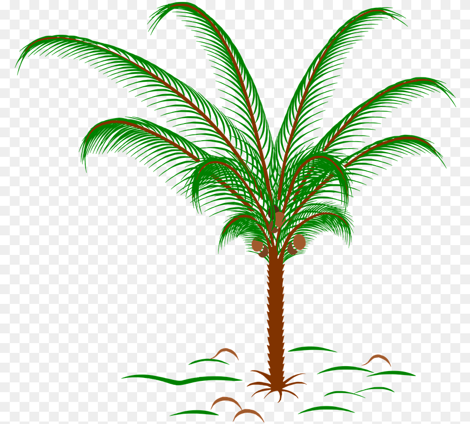 Palm Tree Snowglobe, Palm Tree, Plant, Pattern Free Png Download