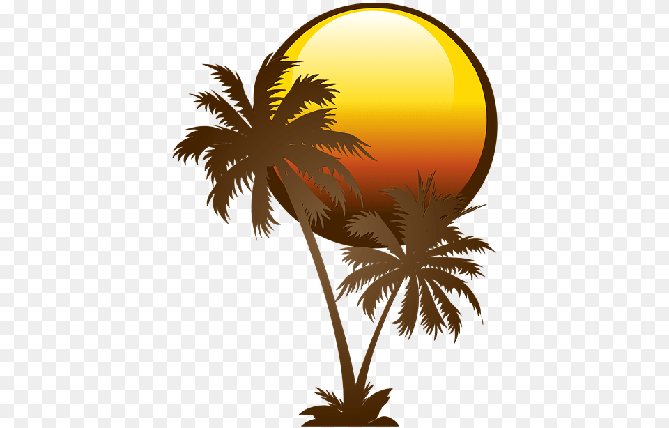 Palm Tree Solar Image On Pixabay Palm Tree White Vector, Outdoors, Sky, Plant, Nature Free Png