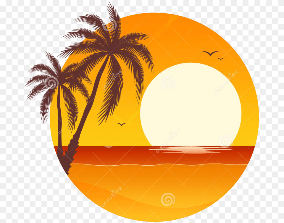 Palm Tree Sunset, Nature, Sun, Sky, Outdoors Free Png