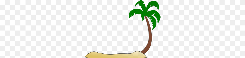 Palm Tree Sunset Clipart, Palm Tree, Plant, Vegetation, Leaf Png Image