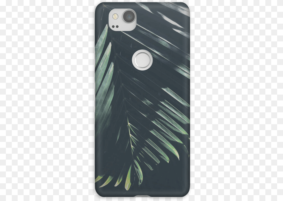 Palm Tree Sunshine Iphone, Electronics, Mobile Phone, Phone Png Image