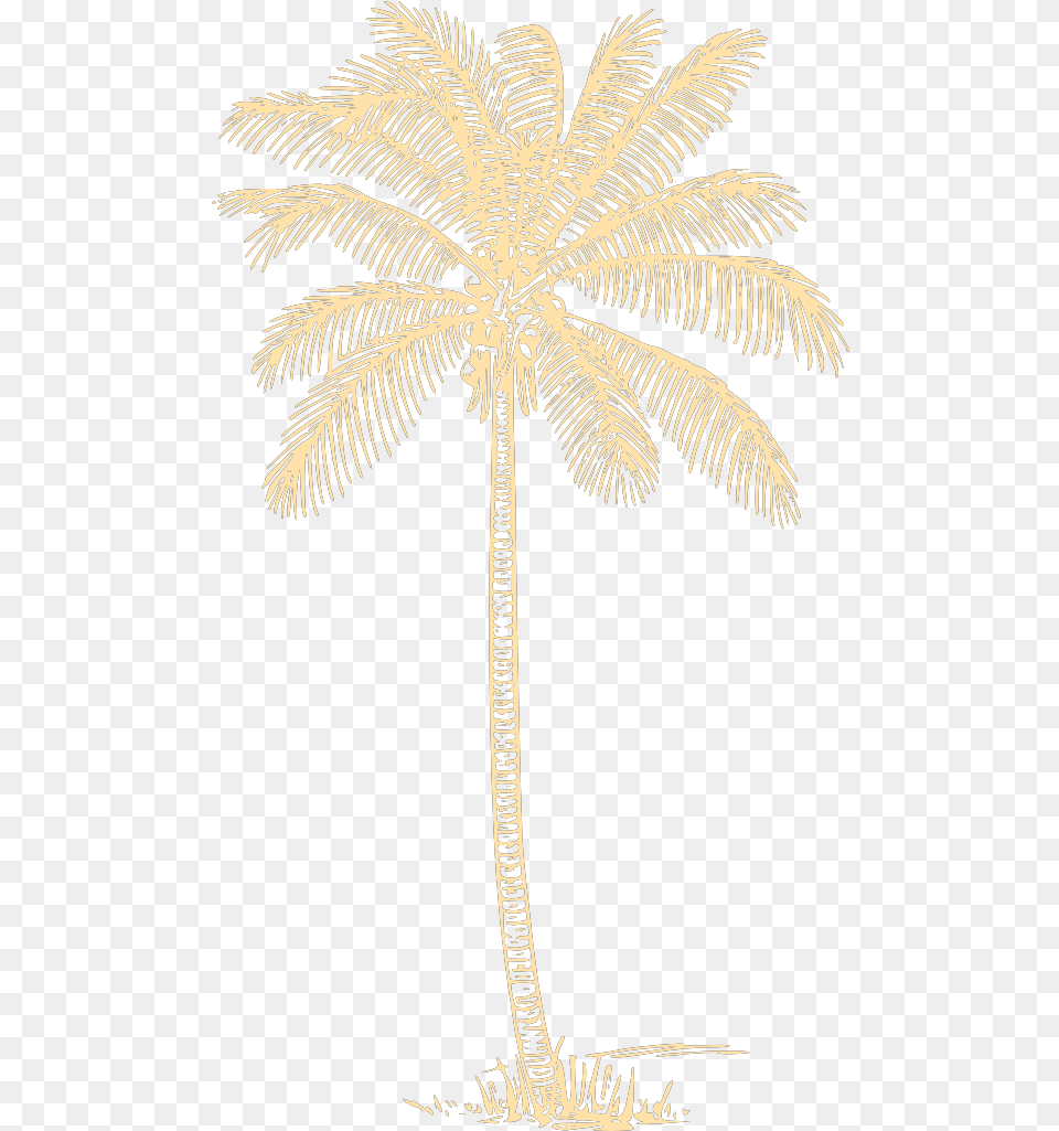 Palm Tree Svg Clip Arts Download Coconut Tree Clip Art, Palm Tree, Plant Free Png