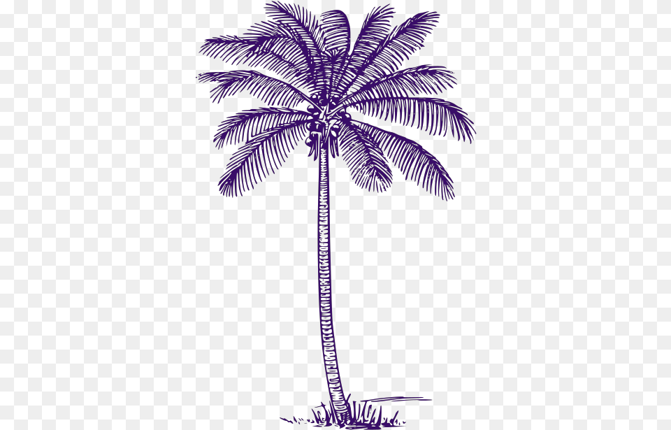 Palm Tree Svg Clip Arts Drawing Realistic Palm Tree Outline, Palm Tree, Plant Free Png Download