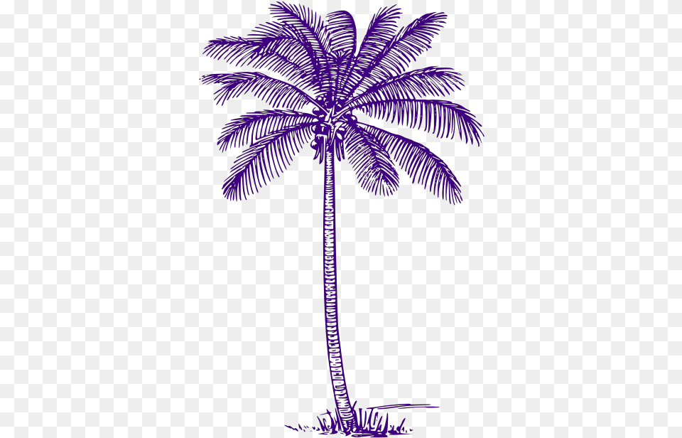 Palm Tree Svg Clip Arts Palm Tree Outline Transparent, Palm Tree, Plant Free Png Download