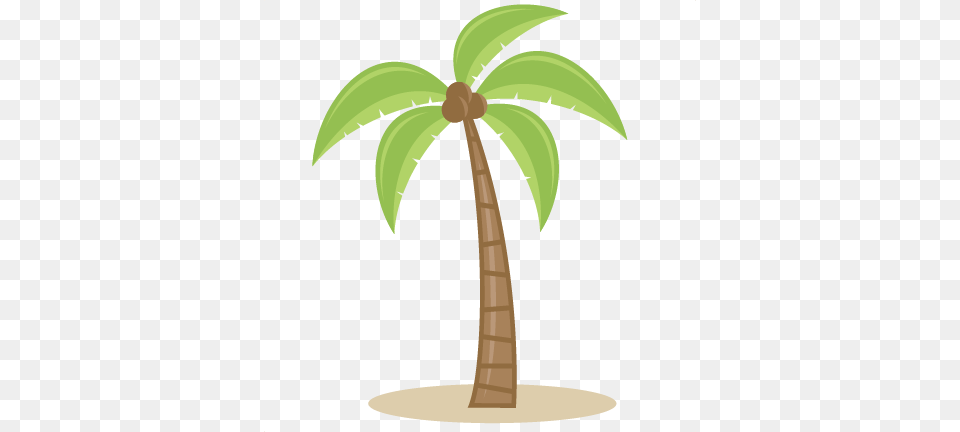 Palm Tree Svg Cutting Files For Scrapbooking Beach Palm Tree Clipart Without Background, Palm Tree, Plant Free Png Download